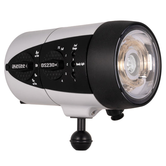 DS230 STROBE + VIDEO LIGHT NIMH ( USA )